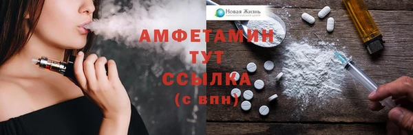стаф Гусев