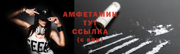 стаф Гусев