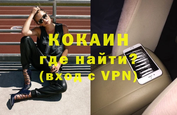 стаф Гусев
