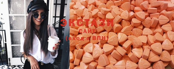 стаф Гусев