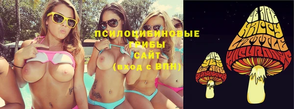 стаф Гусев
