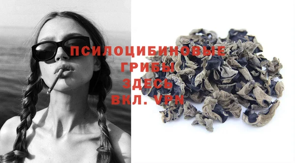 прущий лед Гусь-Хрустальный