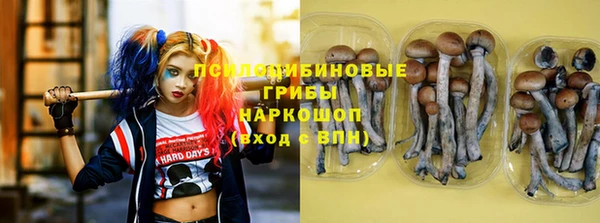 стаф Гусев